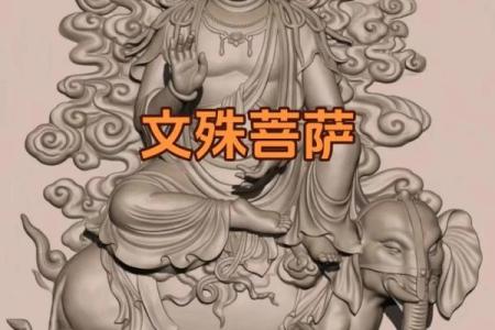 探寻佛教智慧：借命之道的深意与启示