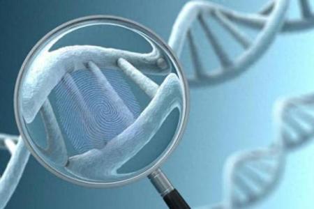 指甲与手指对齐的秘密：如何揭示命运的奥秘