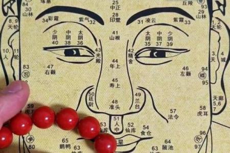 卧龙眉命理解析：透视人生的智慧与际遇