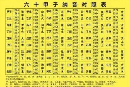 海中金命的数字密码与命理之道探秘