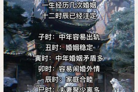 探秘辰时出生的人：2001年命运与性格解读