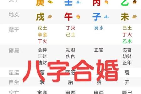 属狗中午出生的命理解析与性格特征探讨