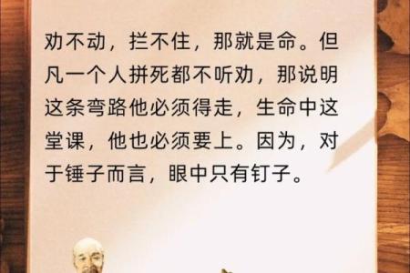 “不得命”之谜：揭开这个词的多重含义和文化背景