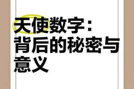 解密数字背后的秘密：数字命理学初探与应用