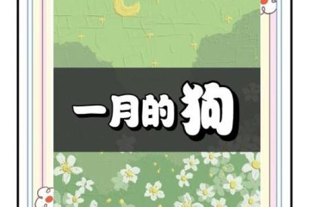 属狗人的最佳月份：揭示运势提升的秘密！