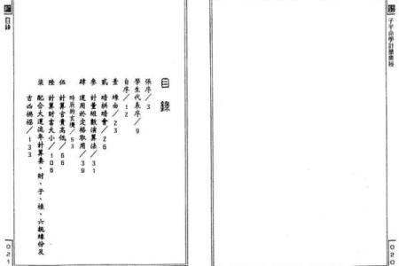 揭秘命理学：丽莎一命与二命的奥秘与区别