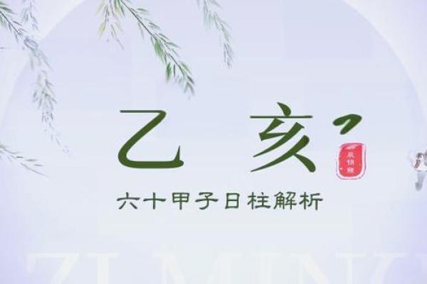 1995乙亥年：命运与性格的深度解析