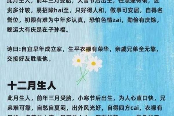 61年12月出生者的命运解析与生活智慧