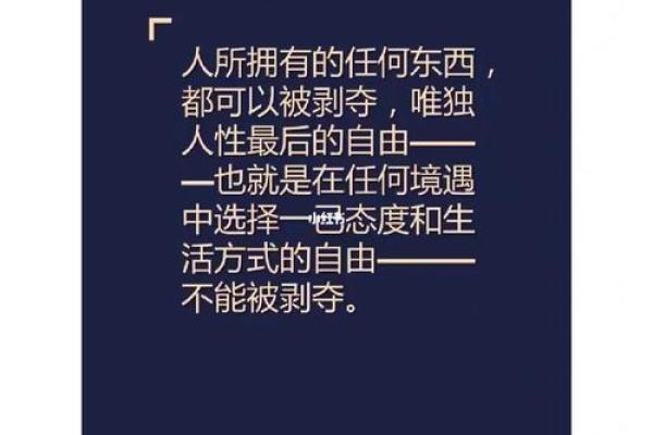 火兔命适合从事哪些生意？探秘财富之路！