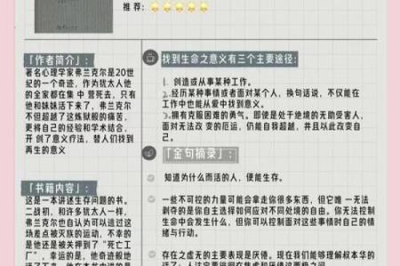 除了生命，我们还可以拿什么？探寻生命的另一种意义