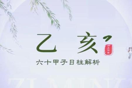1995乙亥年：命运与性格的深度解析