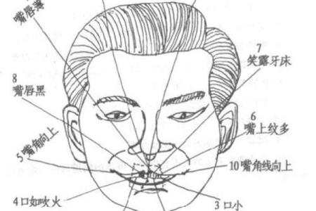 算命与看相：揭示命运之路的神秘钥匙