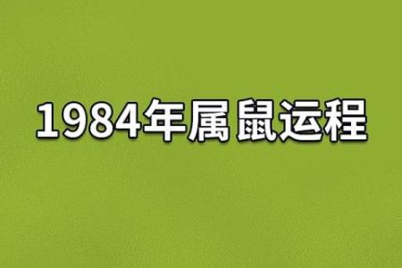 61年12月出生者的命运解析与生活智慧