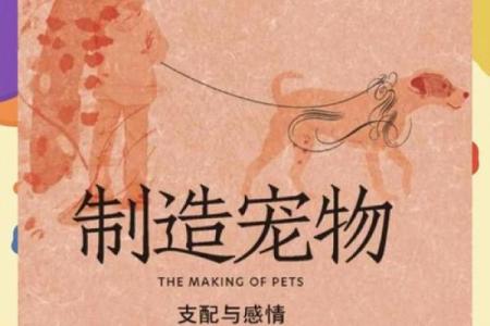 火兔命适合从事哪些生意？探秘财富之路！