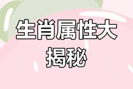 命短生肖：揭示命运背后的生肖秘密与人生启示