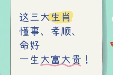 2006年属狗与属猪人的命运解析：缘分与财富的交织之路