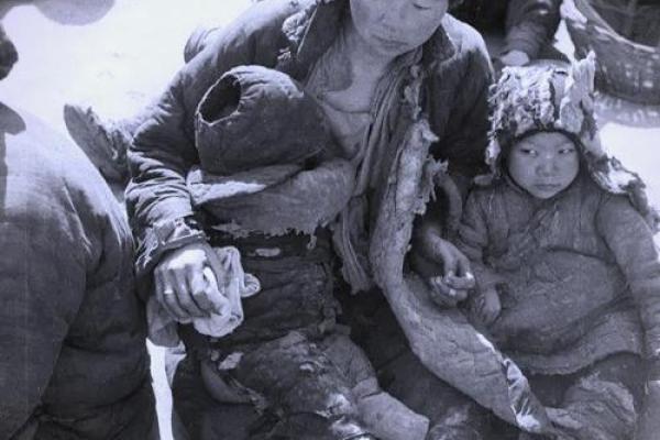 1942年出生的人：命运与性格的独特交织