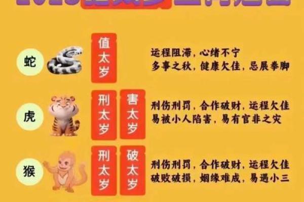 立春破太岁，属鸡的命运解析与破解之道