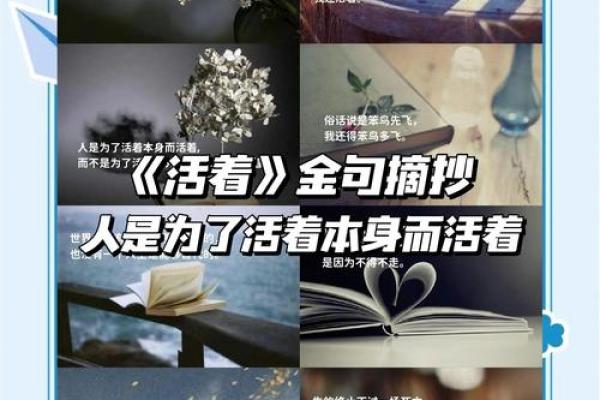 揭秘“世”与“应命”的深刻内涵：如何理解生命的意义与价值