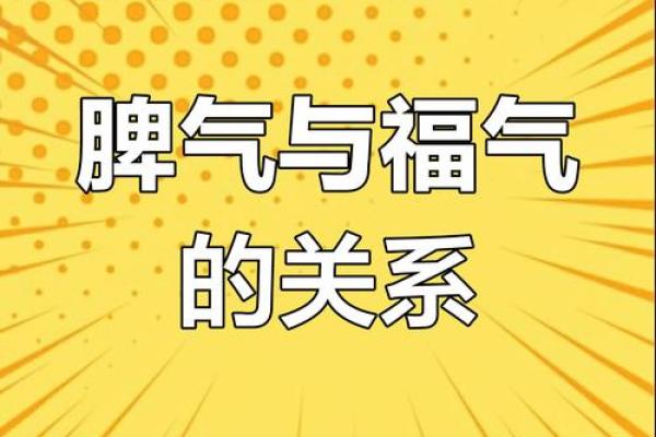 根据脾气与命运的关系，揭示人生的奥秘与幸福之道