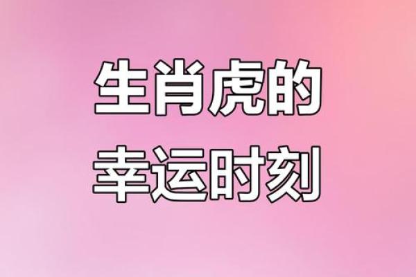一九八六年出生属虎，揭秘生肖虎的命运与性格特点