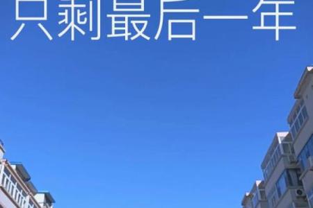 揭秘“世”与“应命”的深刻内涵：如何理解生命的意义与价值