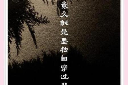 探讨女孩命运：如何把握人生的每一个瞬间？