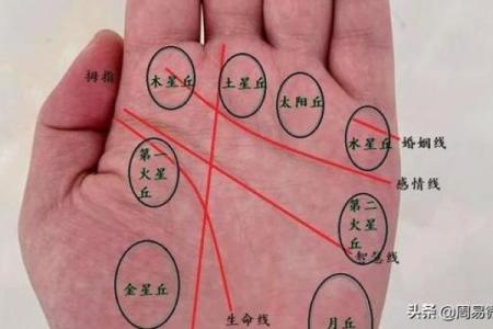 1998年出生的人的命运解析：他们的性格与未来展望