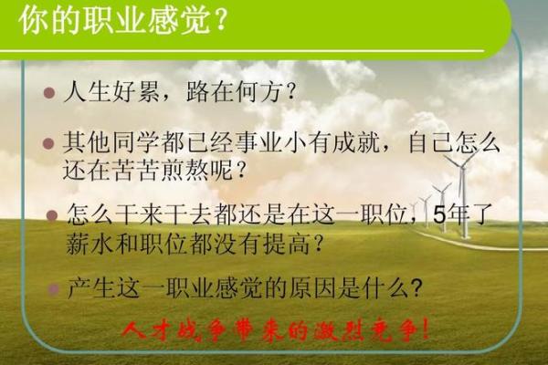 探索水牛之命：适合的职业与发展建议