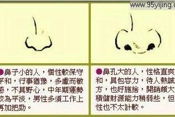 2007年出生的人适合的颜色，如何影响命运与性格的深入分析