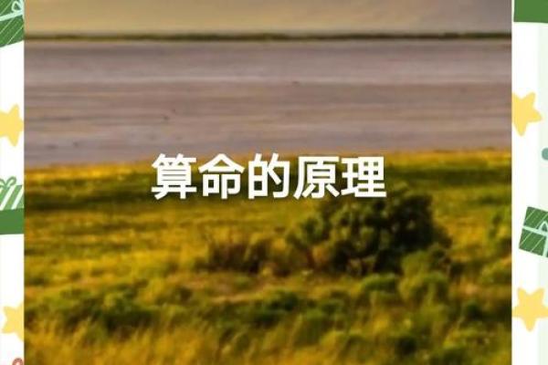 揭开命兆的神秘面纱：探索命理与生活的奥秘