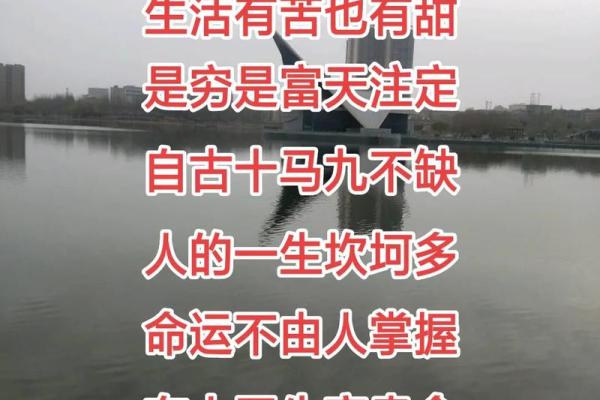 95属猪的命格解析：如何把握人生的机遇与挑战