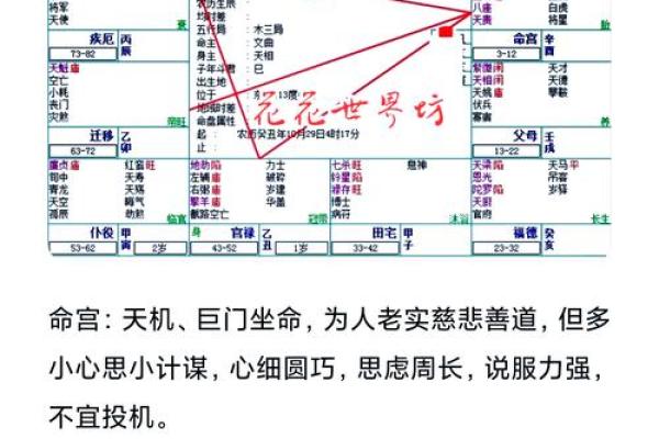 95属猪的命格解析：如何把握人生的机遇与挑战