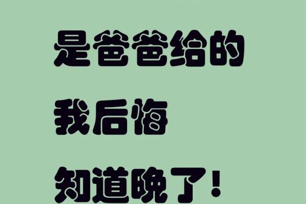 女儿没有爸爸的命运与成长：她的坚韧与美丽之路
