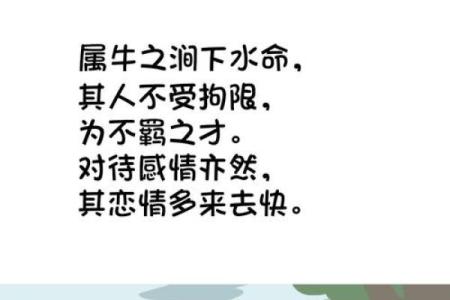 探寻石榴木命的秘密：适合的数字及其背后的故事