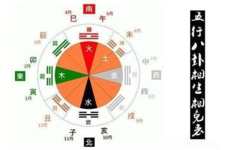 算卦松鼠命的神秘寓意与八卦文化的结合探索