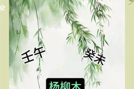杨柳木命男孩最忌的物品与生活注意事项解析