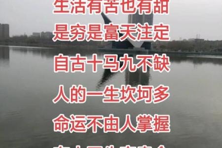 95属猪的命格解析：如何把握人生的机遇与挑战