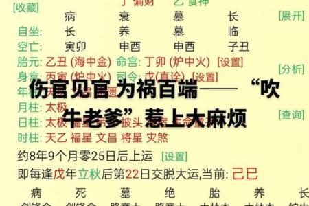 1977年：命运之年的命属性解析与人生启示
