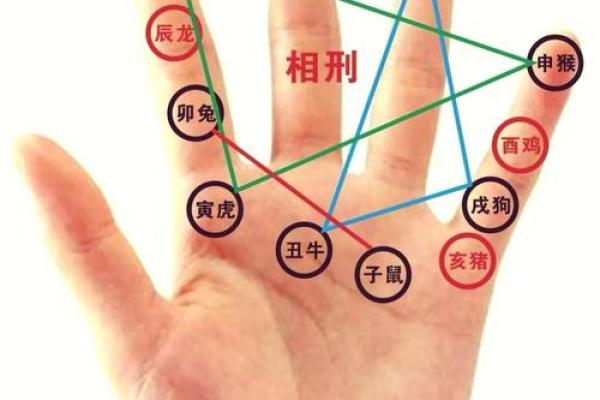 探秘命理：如何判断命里属相以及喜好元素