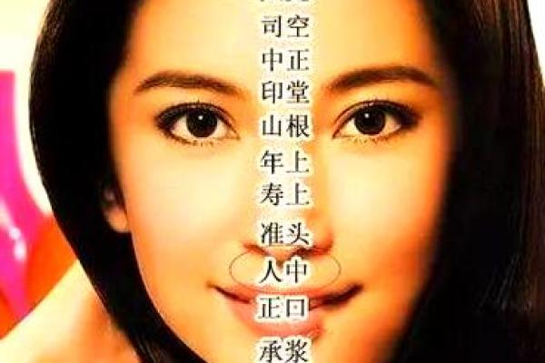 女人脸特大是什么命？探讨面相与命运的奥秘