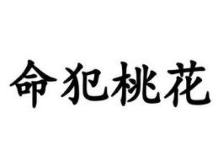 骑虎背之命：揭开命理背后的神秘面纱，探索你的未来之路！