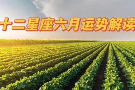 2023年鼠年11月命运解析：掌握运势逆风翻盘的秘诀！