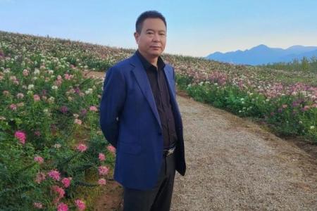 1970年出生的男性狗命，命运分析与人生智慧