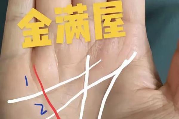 手掌大指头短，命运暗藏玄机！解析手相的奥秘与人生启示