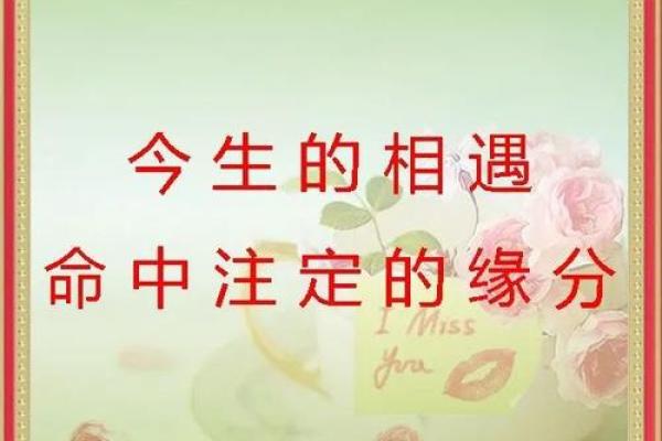 属虎之人：命中注定的旺盛与辉煌之路