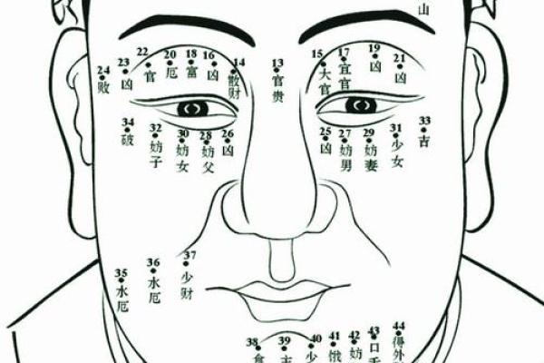1981年正月出生的女性命运解析与发展建议