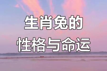 九月出生的兔子命运解析：揭示你的命里缺什么和如何提升运势