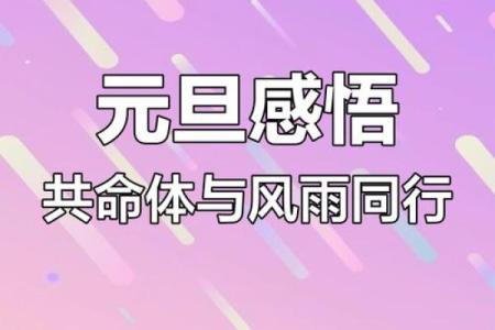 过了元旦，你的命运将如何转变？探索不同阶段的生活意义