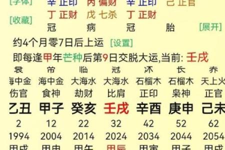 探索命理：甲申、甲戌、壬戌与庚子四种命理的深度解析
